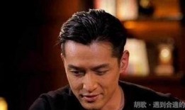 爆料娱乐圈的瓜胡歌,娱乐圈风云再起，揭秘明星背后的故事